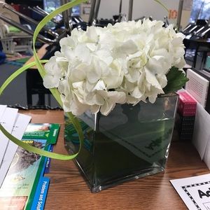 Meet your Posher, Jackie